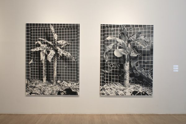 Fotografías de la exposición «He atrapado una sombra», de Fernando M. Romero