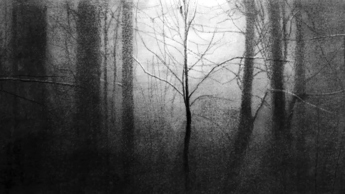 Imagen de portada de Exposición «El último bosque», de Katarzyna Pacholik