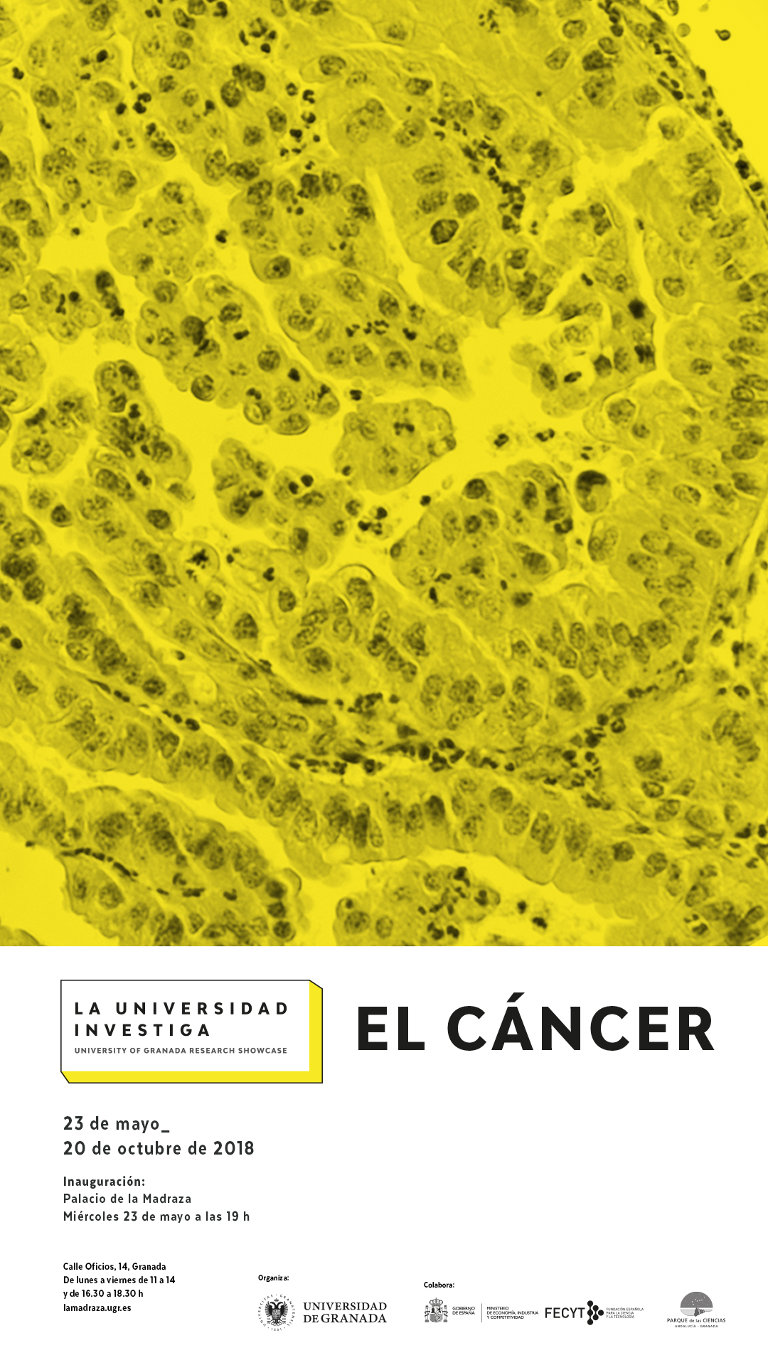Imagen de portada de La Universidad investiga: el cáncer