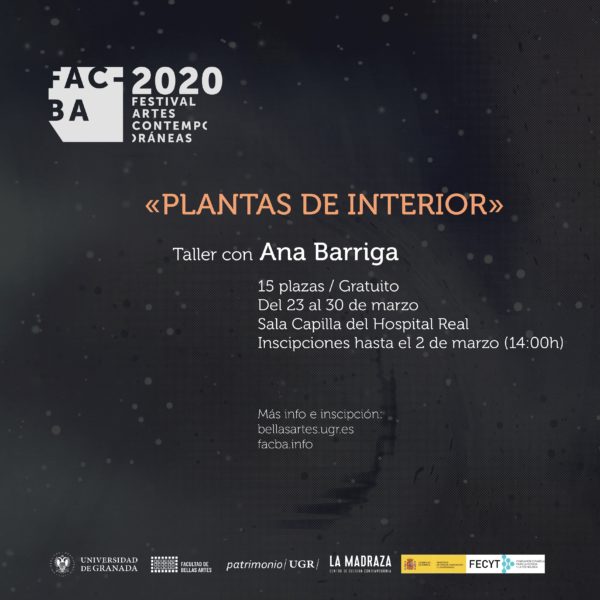 Imagen de portada de Taller de Ana Barriga »Plantas de Interior»
