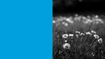 Imagen de portada de OLALLA CASTRO El jardín que soy: la naturaleza en la poesía escrita por mujeres