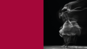 Imagen de portada de Selección candidatos/as proyecto de danza «Tener la cabeza a pájaros»